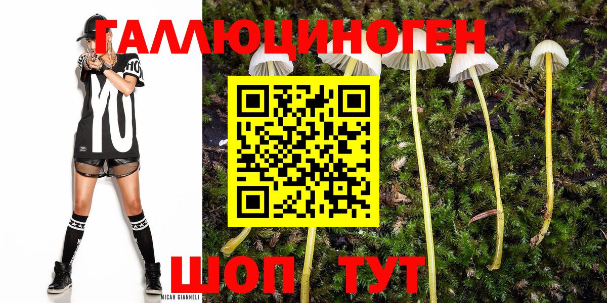 Галлюциногенные грибы прущие грибы  Псилоцибиновые грибы ЛСД  Вход с VPN  Ликино-Дулёво 